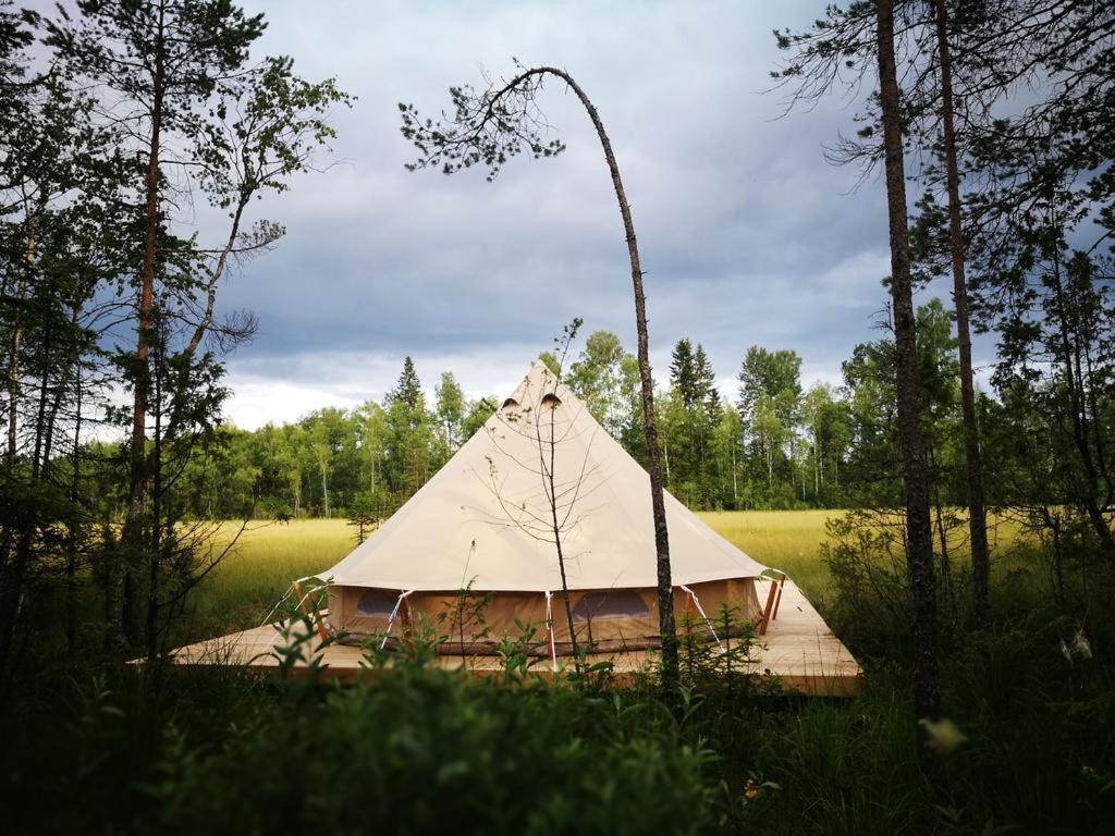 Sokka Holiday Center & Glamping Otepää Kültér fotó